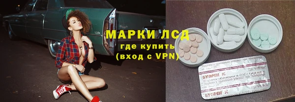 гидра Абаза