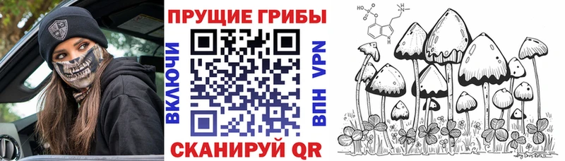 Псилоцибиновые грибы Magic Shrooms  Зеленокумск 