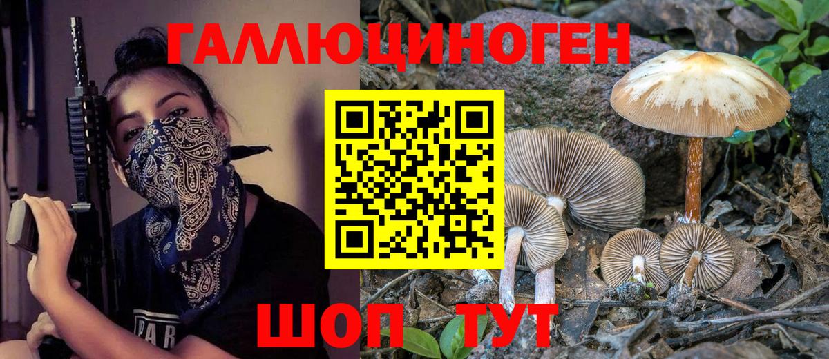 Зеленокумск  Галлюциногенные грибы Magic Shrooms  Псилоцибиновые грибы Psilocybine cubensis  Вход с VPN 