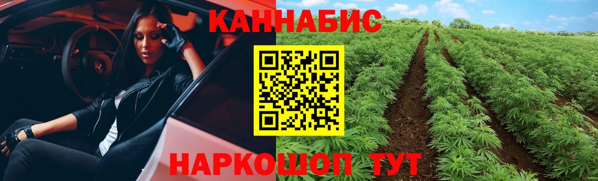 Бошки Шишки OG Kush  Вход с VPN  Канабис конопля  Шишки марихуана план  Зеленокумск 